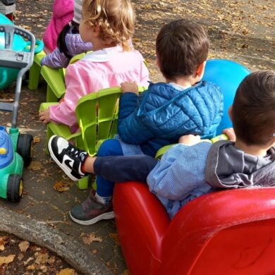 Foto da Bertarelli (1)